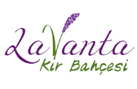 LAVANTA KIR BAHÇESİ